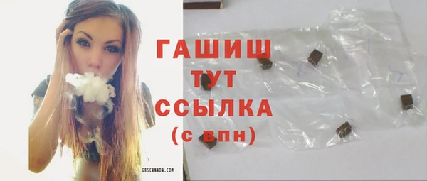 гашик Новодвинск