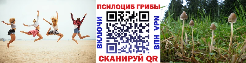 Галлюциногенные грибы мухоморы  Купить  Барнаул 
