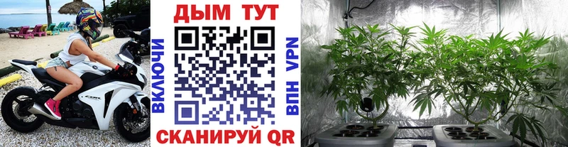 Купить  Барнаул  Бошки марихуана конопля 